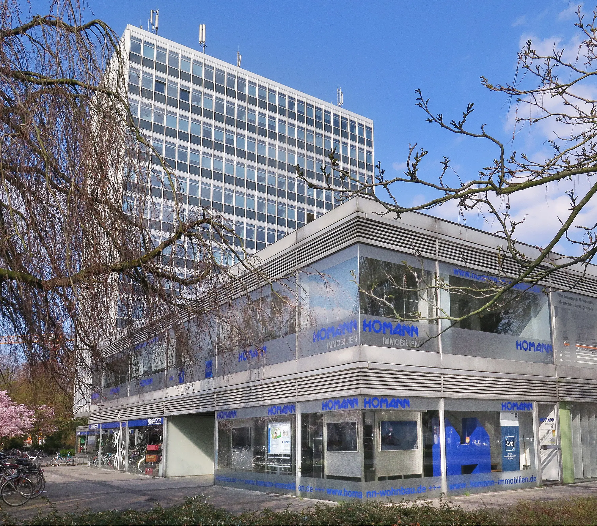 Homann Immobilien Münster - Ihr Immobilienmakler am Servatiiplatz, direkt in der Münsteraner Innenstadt.